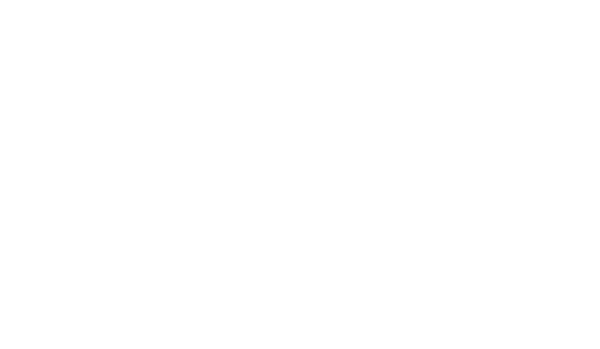 Développement WordPress